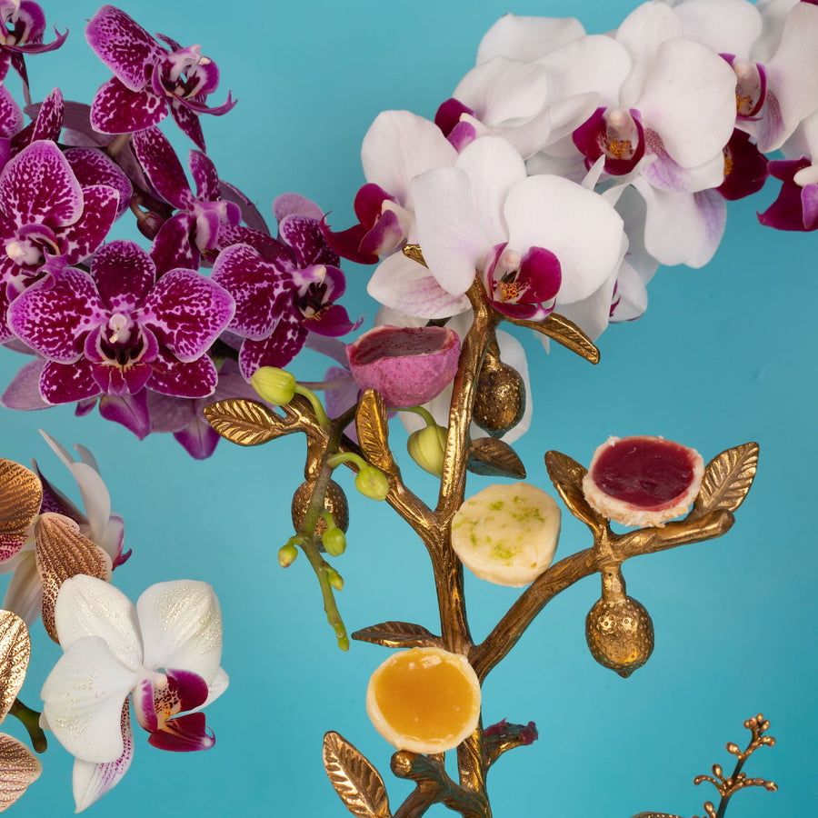 Fresh and fruity truffle