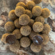 A collection of chocolate covered truffles with a caramel center, placed on a marble surface.